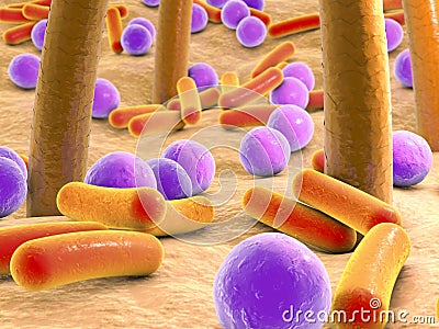 Spherical and rod-shaped bacteria on skin with hairs Cartoon Illustration