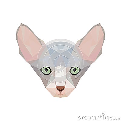 Sphinx cat portrait in low poly style. Cats breed illustr Cartoon Illustration