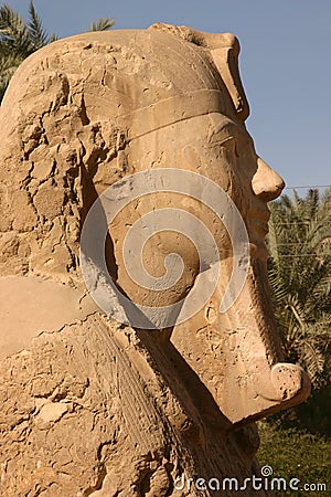 The Sphinx of Memphis Stock Photo