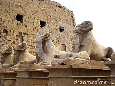 Sphinx statues with the head of a ram Stock Photo