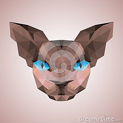 Sphynx cat face low poly Vector Illustration