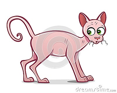 Sphynx cat Vector Illustration