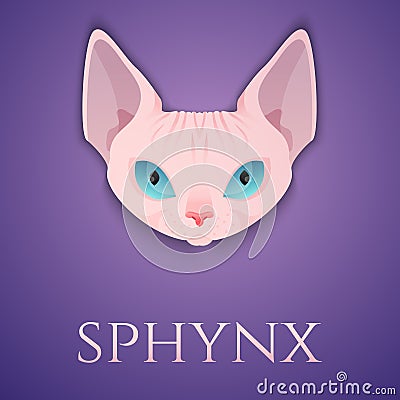Sphynx cat face Vector Illustration