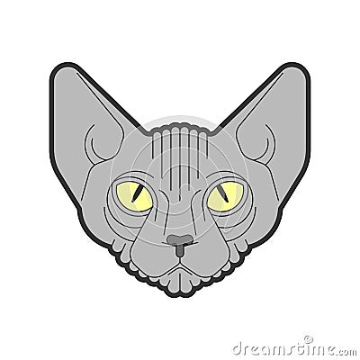 Sphynx cat face isolated. Pet head vector illustration Vector Illustration