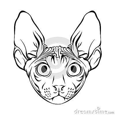 Sphynx. Vector Illustration