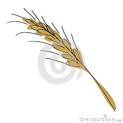 Spica of grain rye Vector Illustration