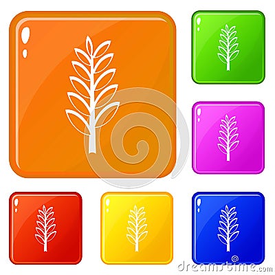 Spica icons set vector color Vector Illustration