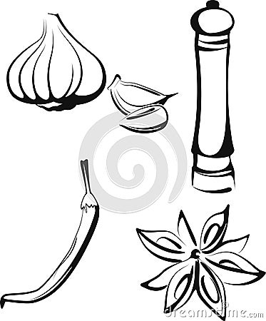 Spice Vector Illustration