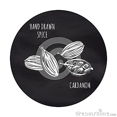 Spice cardamom on blackboard backdrop Vector Illustration