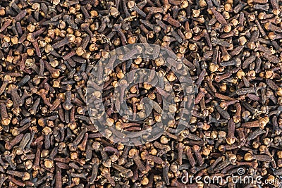 Spice cloves Stock Photo