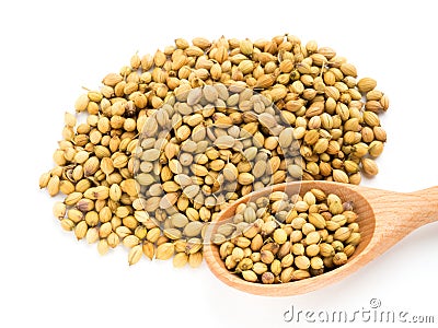 Spice coriander Coriandrum sativum bunch and spoon on white Stock Photo