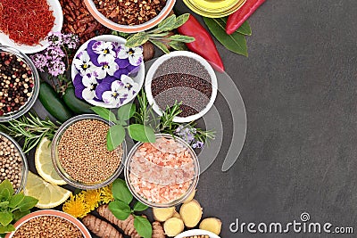 Spice and Herb Border Stock Photo