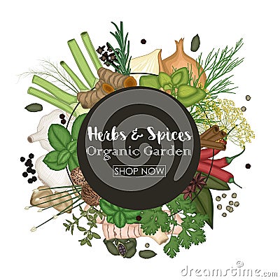 Spice and herb round frame background Vector Illustration