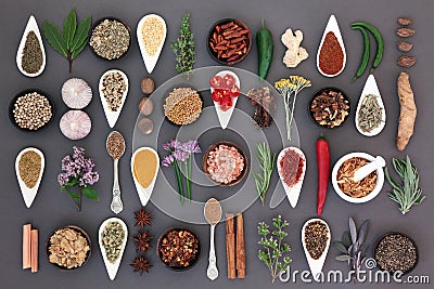 Spice and Herb Sampler Stock Photo