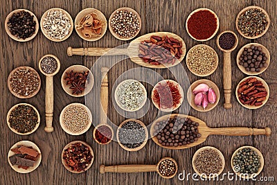 Spice and Herb Sampler Stock Photo