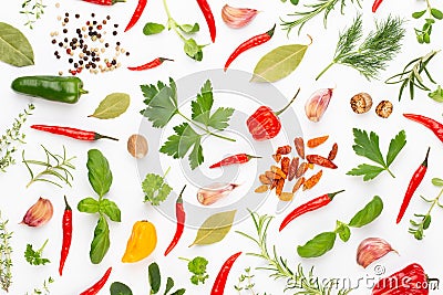 Spice herbal leaves and chili pepper on white background. Vegetables pattern. Floral and vegetables on white background. Top view Stock Photo