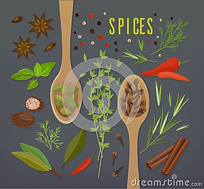 Spice herbal plants with spoons including cloves and cinnamon, white and black pepper, allspice and pimento, dill Vector Illustration