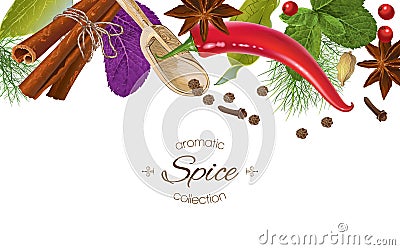 Spice horizontal border Vector Illustration