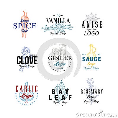 Spice logo design set, vanilla, anise, clove, ginger, soy sauce, bay leaf, garlic, rosemary badge can be used for Vector Illustration