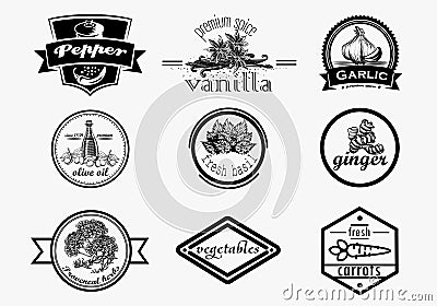 Spice logo set in vintage style. Vector hand drawn Vector Illustration