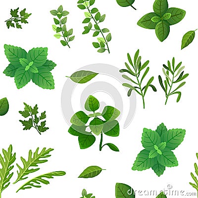 Spice seamless pattern. Food herbs and spices oregano green basil mint spinach coriander parsley dill and thyme. Vector Vector Illustration