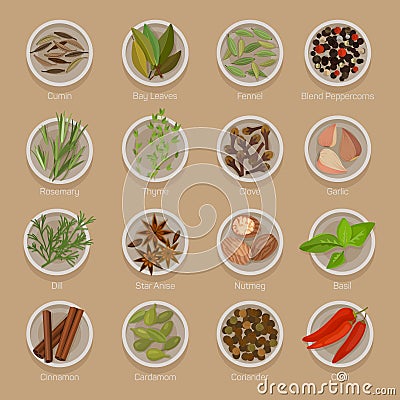 Spice or seasoning on plates like seeds and roots Vector Illustration