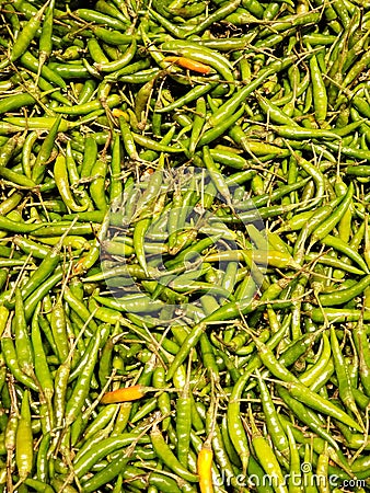 Pile of spicy Thai chili peppers Stock Photo