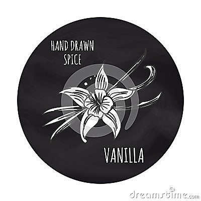 Spice vanilla on blackboard Vector Illustration