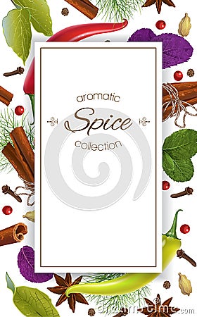 Spice vertical banner Vector Illustration