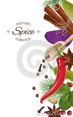 Spice vertical banner Vector Illustration