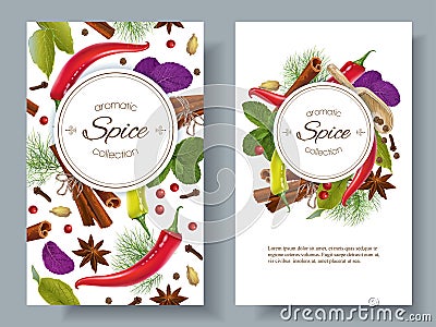 Spice vertical banners Vector Illustration