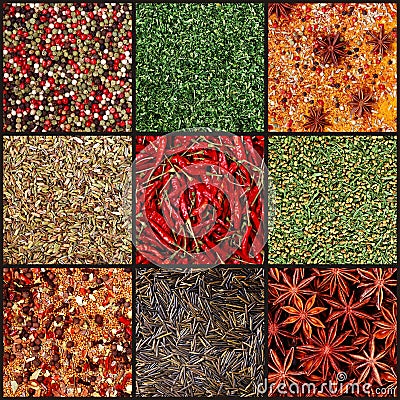 Spices Stock Photo