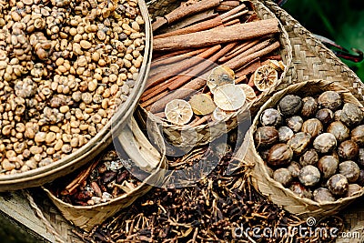 Spices of asia and coffee, cocoa and cinnamon coffee luvak in In Stock Photo