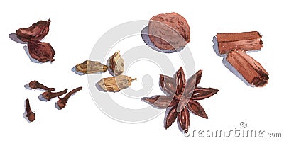 Spices: cinnamon, basil, cardamom, cloves, anis. Watercolor Stock Photo