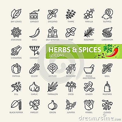 Spices, condiments and herbs - minimal thin line web icon set. Outline icons collection Vector Illustration