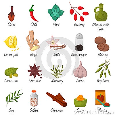 Spices, condiments and seasoning food herbs decorative elements vector. Vector Illustration