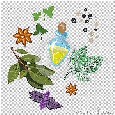 Spices and flavorings vector illustration isolated Vector Illustration