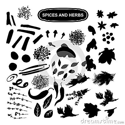 Spices Vector Illustration