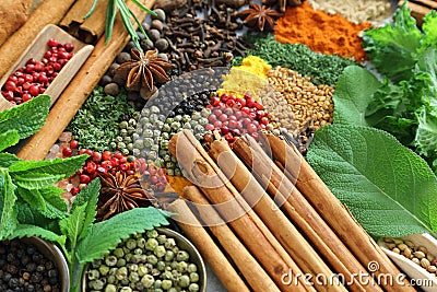 Spices and herbs. Stock Photo