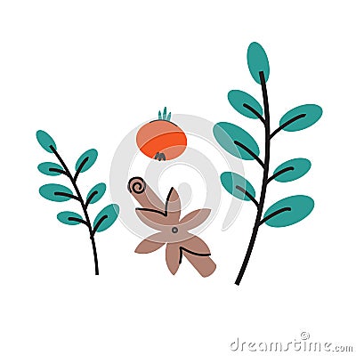 Spices herbs rosehip and cinnamon. Vector illustration Vector Illustration