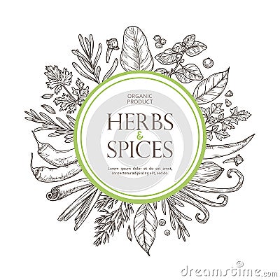 Spices and herbs sketch background. Vector Illustration