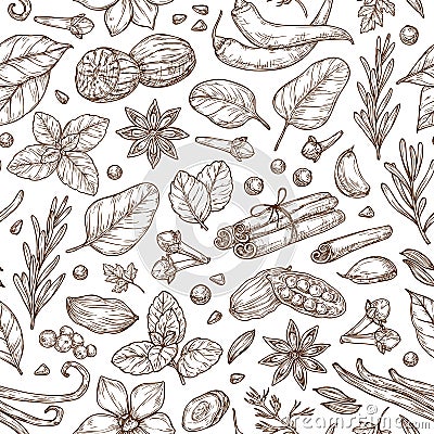 Spices and herbs sketch pattern. Vector Illustration