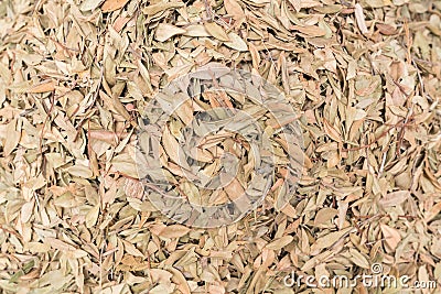 Spices and herbs on street stal at Morocco traditional market. Stock Photo