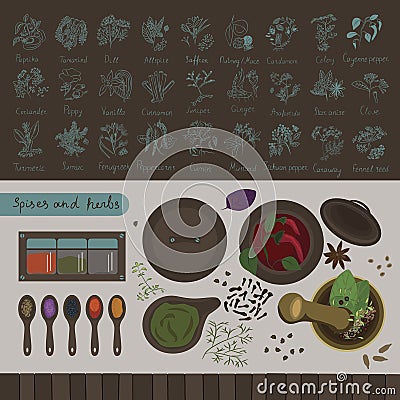 Spices and herbs of the world Vector Illustration