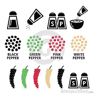 Spices icons - black pepper, red, green and white design Stock Photo