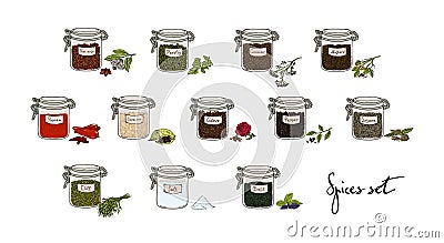 Spices in jars, big set, part 2. collection hand drawn vector illustration. Vector Illustration