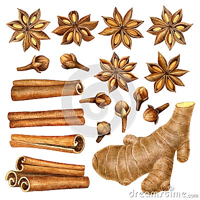 Spices raw material for cooking and baking.Mulled wine ingredients cinnamon, anise, raisins, ginger ,cloves isolated on Cartoon Illustration