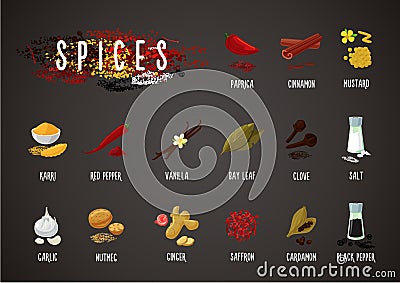 Spices and seasoning. Cooking ingredients. Culinary collection. Isolated icons set Vector Illustration