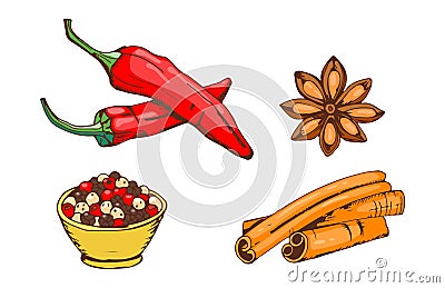 Spices seasoning hand drawn style food herbs elements and seeds ingredient cuisine flower buds leaves food plants Vector Illustration