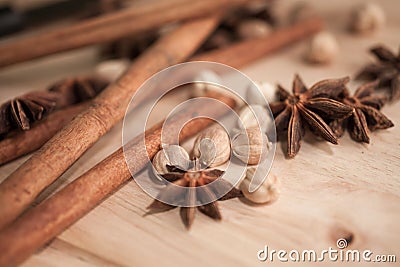 Cinnamon, Cardamon, Star Anise Stock Photo